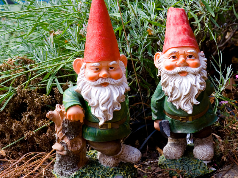 dreaming of gnomes