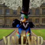 mallard the masked singer